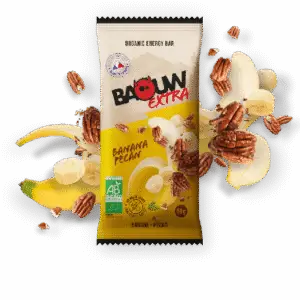 Organic Energy Bar
