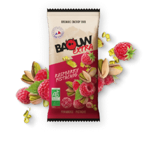 Organic Energy Bar