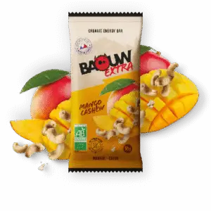Organic Energy Bar